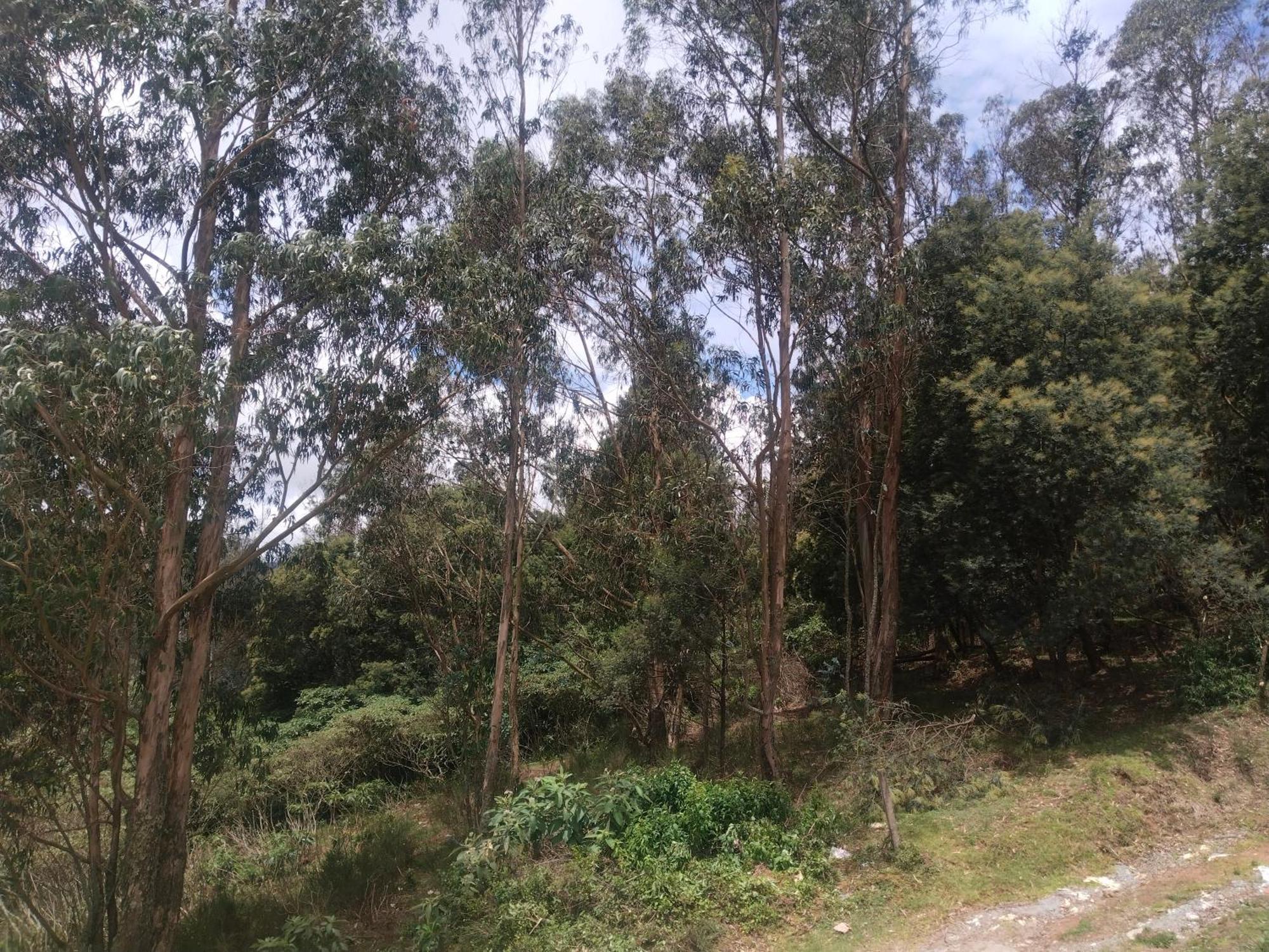 Bs Dreamz Ooty Exterior foto