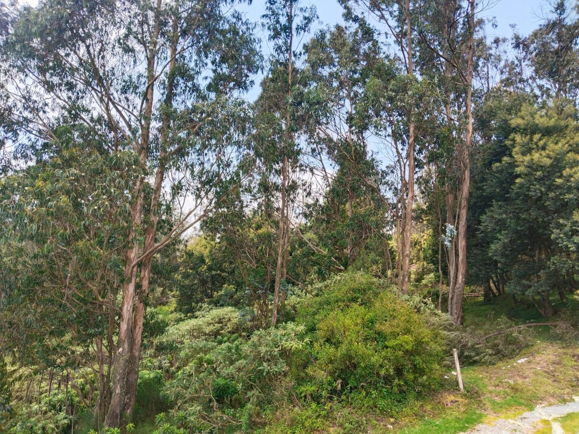 Bs Dreamz Ooty Exterior foto